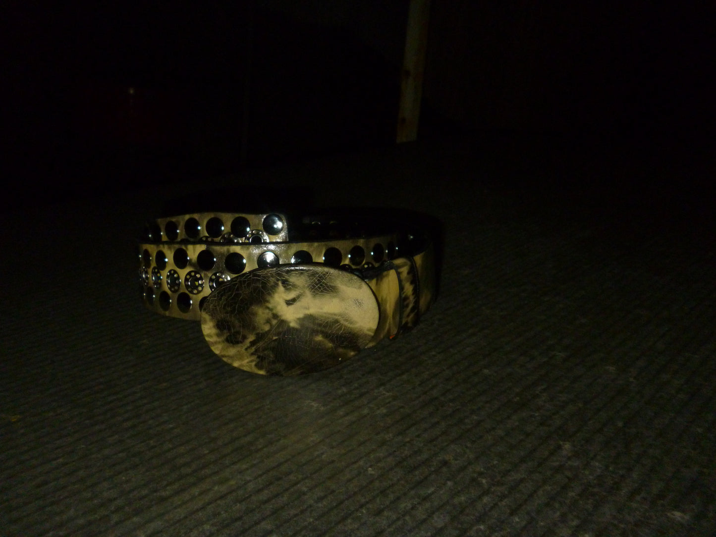 Veneno Belt 2.0